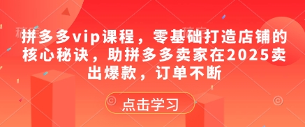 拼多多vip课程，零基础打造店铺的核心秘诀，助拼多多卖家在2025卖出爆款，订单不断-项才网课-资源网-最新项目分享网