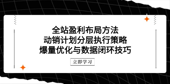 全站盈利布局方法：动销计划分层执行策略，爆量优化与数据闭环技巧-项才网课-资源网-最新项目分享网
