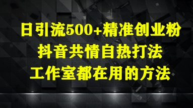 日引流500+精准创业粉，抖音共情自热打法，工作室都在用的方法-项才网课-资源网-最新项目分享网