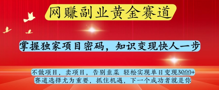 网创副业黄全赛道，掌握独家项目密码，知识变现快人一步，告别韭菜轻松实现单日变现1k+【揭秘】-项才网课-资源网-最新项目分享网