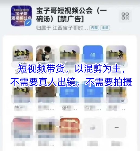 宝子哥头部团队短视频带货，以混剪为主，不需要真人出镜，不需要拍摄-项才网课-资源网-最新项目分享网